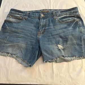 Carbon skinny distressed ripped raw hem men’s shorts Sz 34